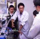 植物病理学研究室見学と実験