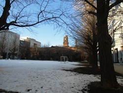 雪の残るユニバーシティ広場。奥に13号館の時計塔が見える