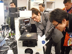 金田祥平 特任助教の指導のもと、培養中のiPS細胞を蛍光顕微鏡で観察
