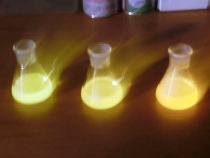 ホタル酵素を使った生物発光反応実験