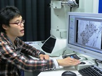 電子顕微鏡で植物ナノ病原体を観察