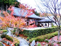 宝徳寺の紅葉と枯山水庭園