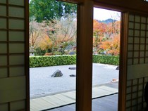 宝徳寺の紅葉と枯山水庭園