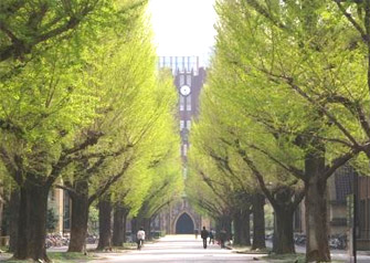 東京大学