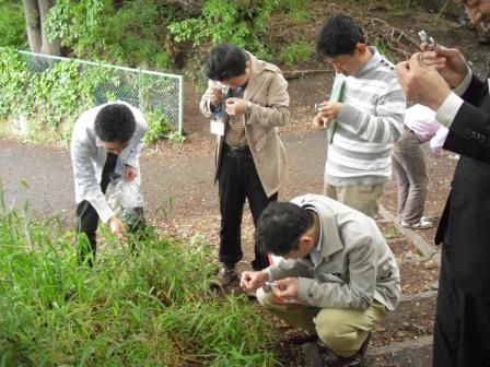 弥生キャンパスでのフィールドワーク