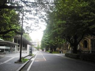 EMP講義が開催されている総合図書館へのアプローチ(2010年10月16日撮影)