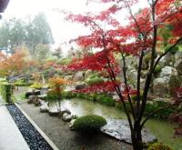 宝徳寺の紅葉と枯山水庭園