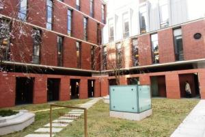 新しくできた伊藤国際学術研究センター前に植樹されたしだれ桜はちょうど開花し、7期生を迎え入れた