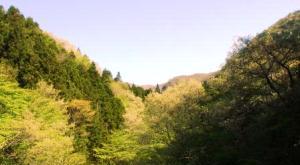 新緑の赤城山