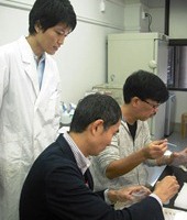 イムノクロマト法の実験