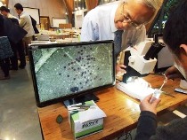 採取した植物を実体顕微鏡で観察