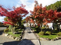 宝徳寺の紅葉と枯山水庭園