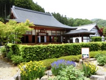 宝徳寺の紅葉と枯山水庭園