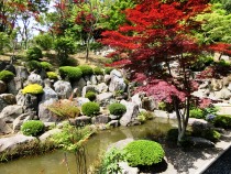 宝徳寺の紅葉と枯山水庭園