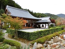 宝徳寺の紅葉と枯山水庭園