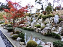 宝徳寺の紅葉と枯山水庭園