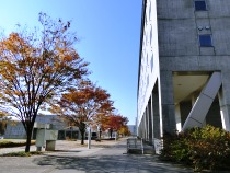 柏キャンパス風景