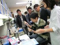 ピペットを使ってチューブへの溶液の注入に挑戦