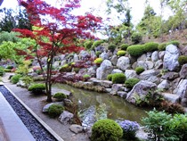 宝徳寺と枯山水庭園