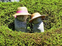 宝徳寺と枯山水庭園