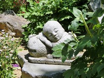 宝徳寺と枯山水庭園