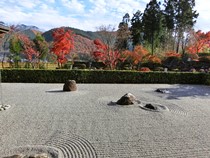 宝徳寺の紅葉と枯山水庭園