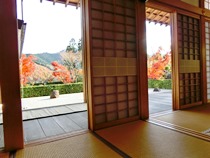 宝徳寺の紅葉と枯山水庭園