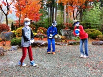 宝徳寺の紅葉と枯山水庭園