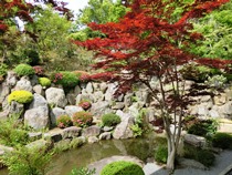 宝徳寺と枯山水庭園