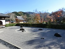 宝徳寺の紅葉と枯山水庭園