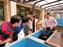 実験水槽の見学