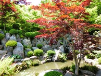 宝徳寺と枯山水庭園