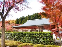 宝徳寺と枯山水庭園