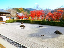 宝徳寺と枯山水庭園