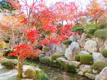 宝徳寺と枯山水庭園