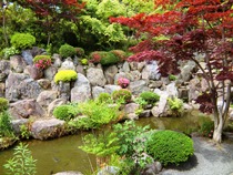 宝徳寺と枯山水庭園