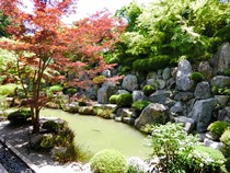 宝徳寺と枯山水庭園