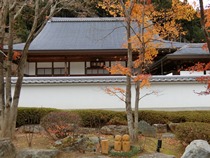 宝徳寺と枯山水庭園